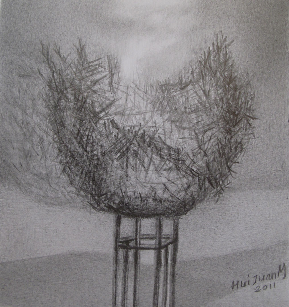 11,鸟巢 33x21 铅笔素描 2011