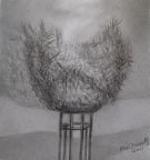 11,The Nest 鸟巢33x21.2011，Pencil Drawing 铅笔素描