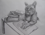 14,Wise Cat 睿智的猫.28x34.2010, Pencil Drawing 铅笔素描